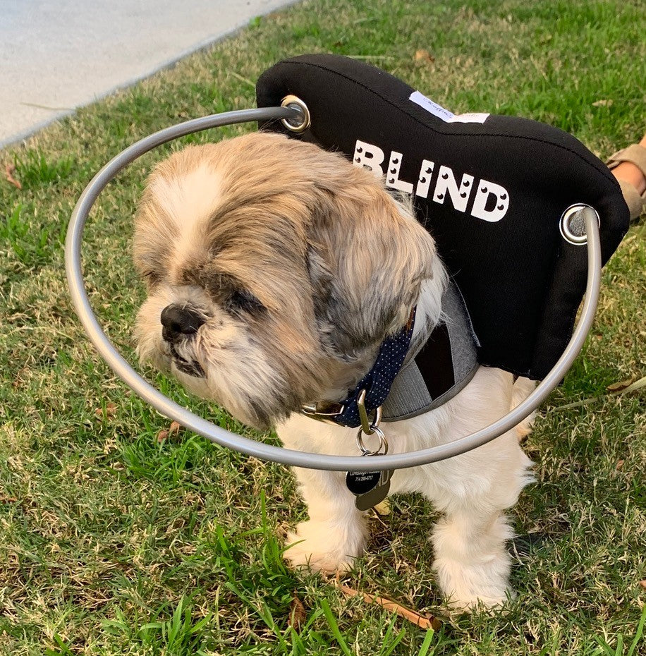 Best harness for blind 2024 dog